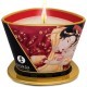 shunga vela de masaje fresa 170 ml