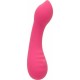 CALEXOTICS - PIXIES TEASER - ROSA