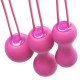  BOLAS KEGEL AMI  FUCSIA - JE JOUE 