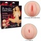 THE GIRL NEXT DOOR LOVE DOLL - CALEXOTICS 