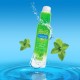  LUBRICANTE SABOR MENTA 75 ML - PASANTE 