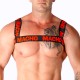  ARNES DOBLE ROJO - MACHO 