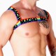 ARNES DOBLE PRIDE LIMITED - MACHO 
