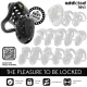 Chained Hollow jaula para pene 10,5 cm - Addicted Toys Locked