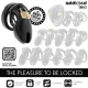 Forbidden Vault jaula para pene 10 cm - Addicted Toys Locked