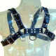  ARNES CUERO AZUL Y NEGRO CHEST BULLDOG - LEATHER BODY 