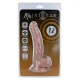  12 PENE REALISTICO 18.2 CM O 2.5 CM - MR INTENSE 