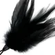  PLUMA ESTIMULADORA NEGRO 17 CM - DARKNESS 
