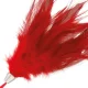  PLUMA ESTIMULADORA ROJO 17CM - DARKNESS 