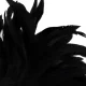 PLUMA ESTIMULADORA NEGRO LUX - DARKNESS 