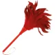  PLUMA ESTIMULADORA ROJO 24CM - DARKNESS 