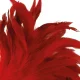  PLUMA ESTIMULADORA ROJO 24CM - DARKNESS 