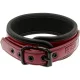  COLLAR CON CADENA CON FORRO DE NEOPRENO - FETISH SUBMISSIVE DARK ROOM 