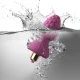 OFF  ASSBERRIES RASPBERRY PLUG ANAL - ROCKS