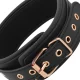  FANTASY COLLAR CON PINZAS PEZONES CON FORRO DE NEOPRENO - COQUETTE CHIC DESIRE 