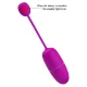  NYMPH HUEVO VIBRADOR CONTROLADO POR APP VIOLETA - PRETTY LOVE 