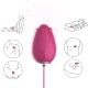  MANDALA HUEVO VIBRADOR PUNTO G CONTROL REMOTO FUCSIA - ARMONY 