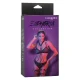  EUPHORIA ARNÉS DE MÚLTIPLES CADENAS PREMIUM - CALEXOTICS 