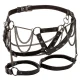  EUPHORIA ARNÉS DE MUSLO CON CADENAS PREMIUM - CALEXOTICS 
